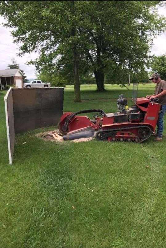 stump grinding and removal