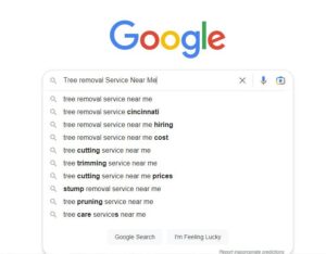 Tree removal Service Near Me google search