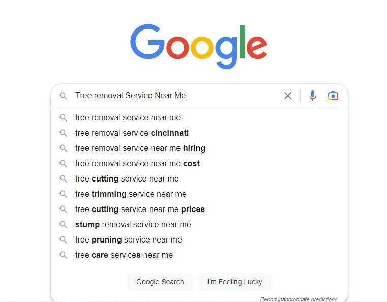 Tree removal Service Near Me google search