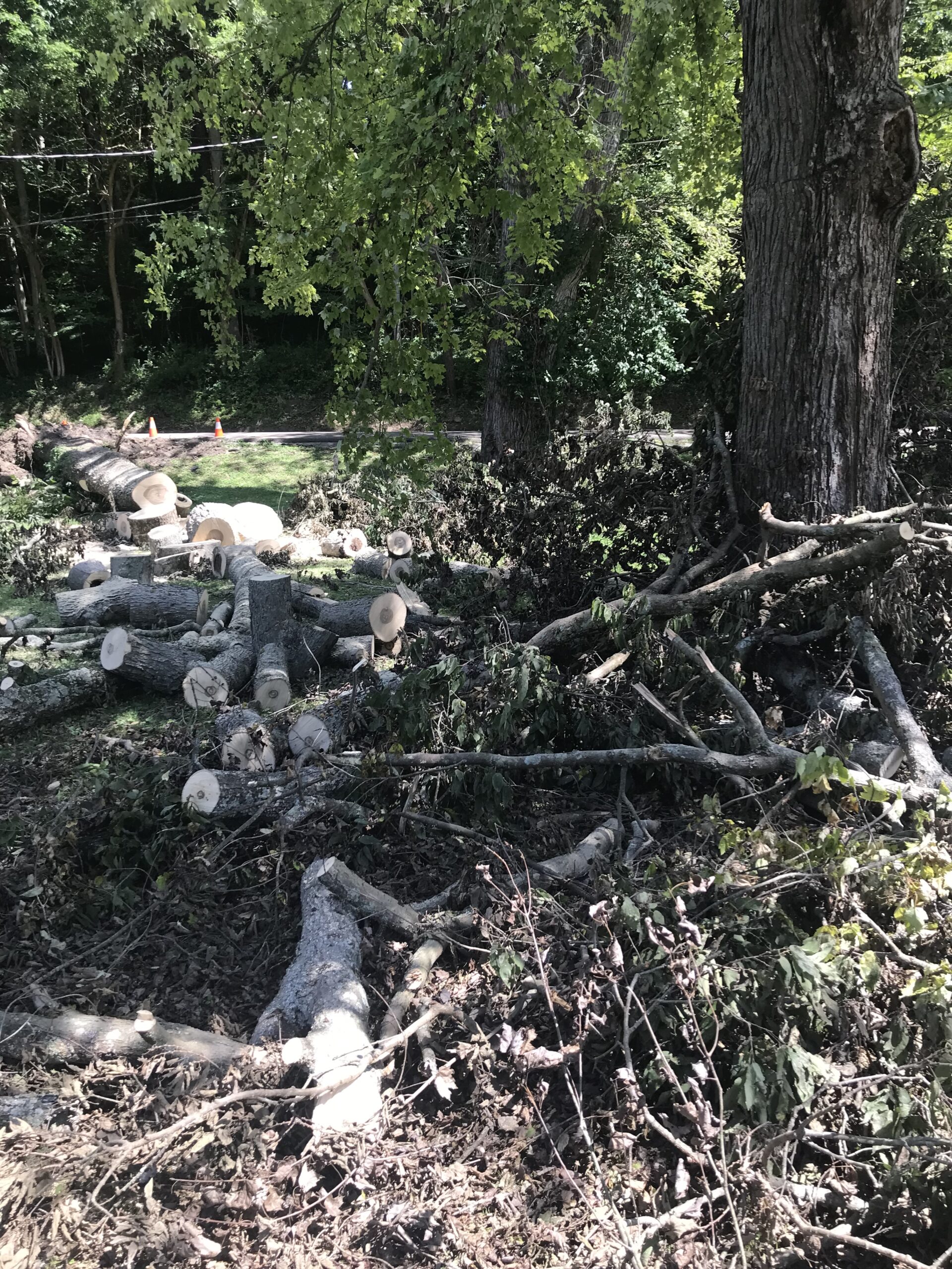 A danger in Loveland
