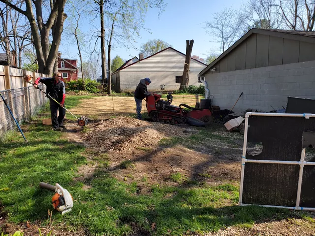 Pennington Stump Grinding