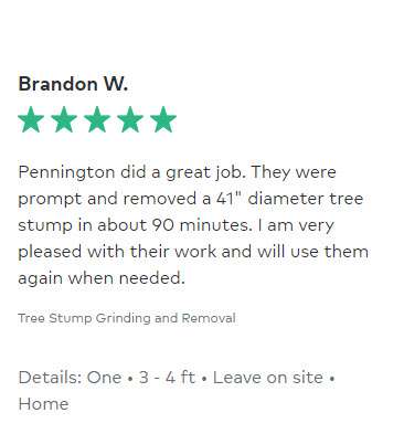 stump grinding and removal testimonial