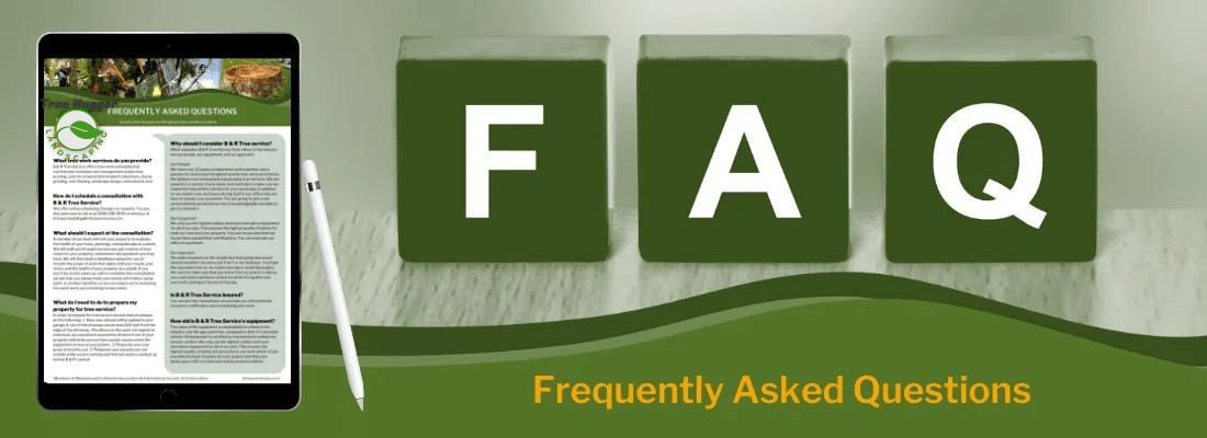 Cincinnati tree trimming by Tree Hugger